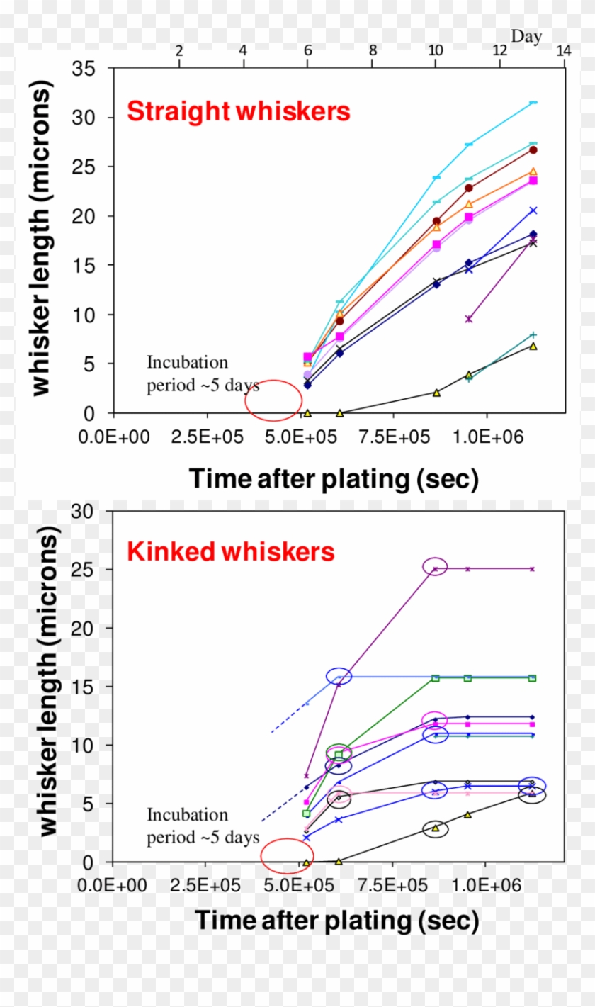 A) Whisker Growth Kinetics For Straight Whiskers Clipart #1986208