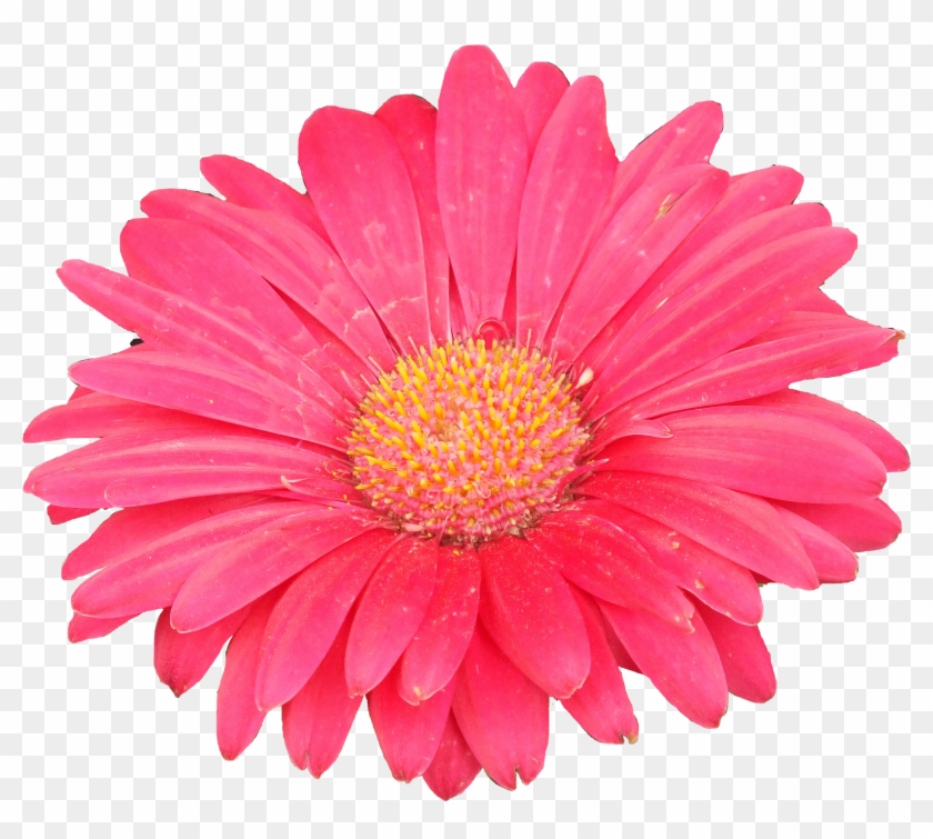 Px, File Size Clipart