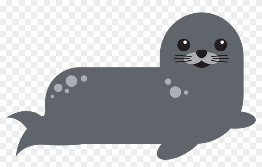 Download Png Image Report - Harbor Seal Clipart Transparent Png #1986535