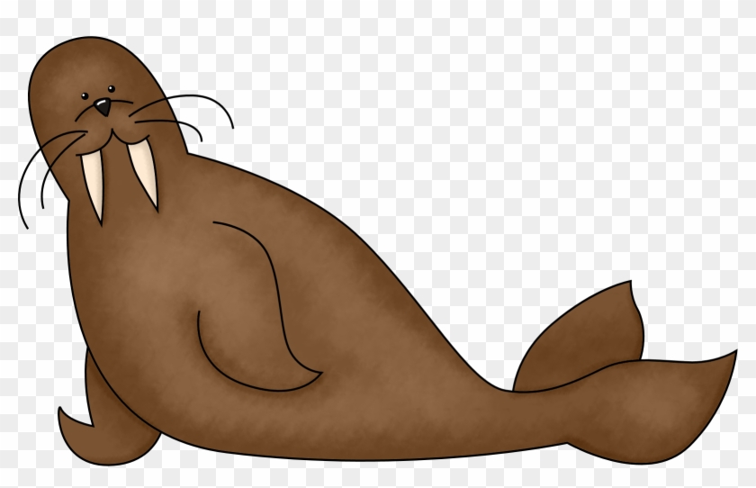 Walrus Png Photos - Walruses Clip Art Transparent Png