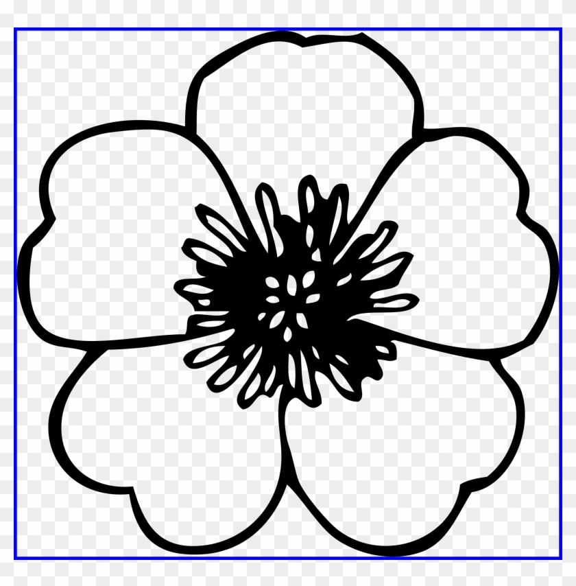 Chrysanthemum Clipart Chrysanthemum Book - Flower Clipart Black And White - Png Download #1986902
