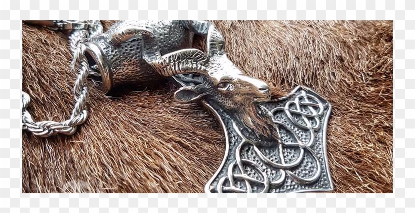 20170405 183723-01 Ml - Warthog Clipart