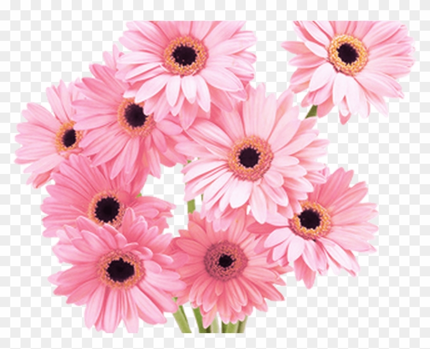 Flowers Pink Tumblr Vaporwave Aesthetic - Flower Bunch Images Hd Clipart