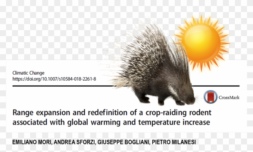 #climaticchange #porcupine #zoology #researchpic - Porkupine Clipart #1988096