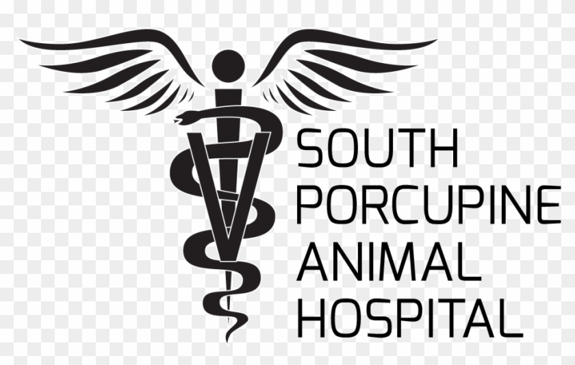 South Porcupine Animal Hospital - Graphic Design Clipart