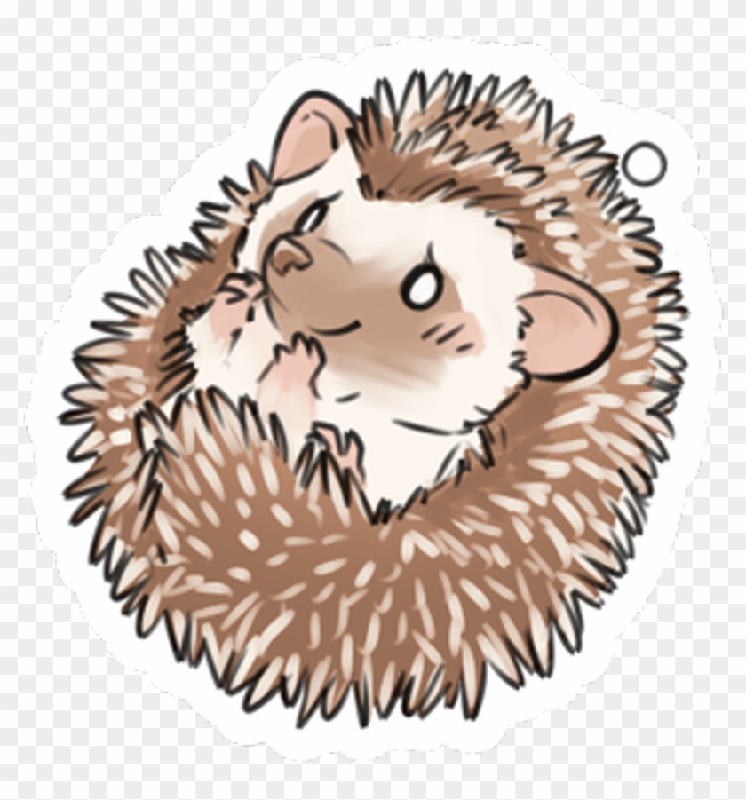 #hedgehog #erizo #porcupine #kawaii #animal #freetoedit - Erizo Kawaii Clipart