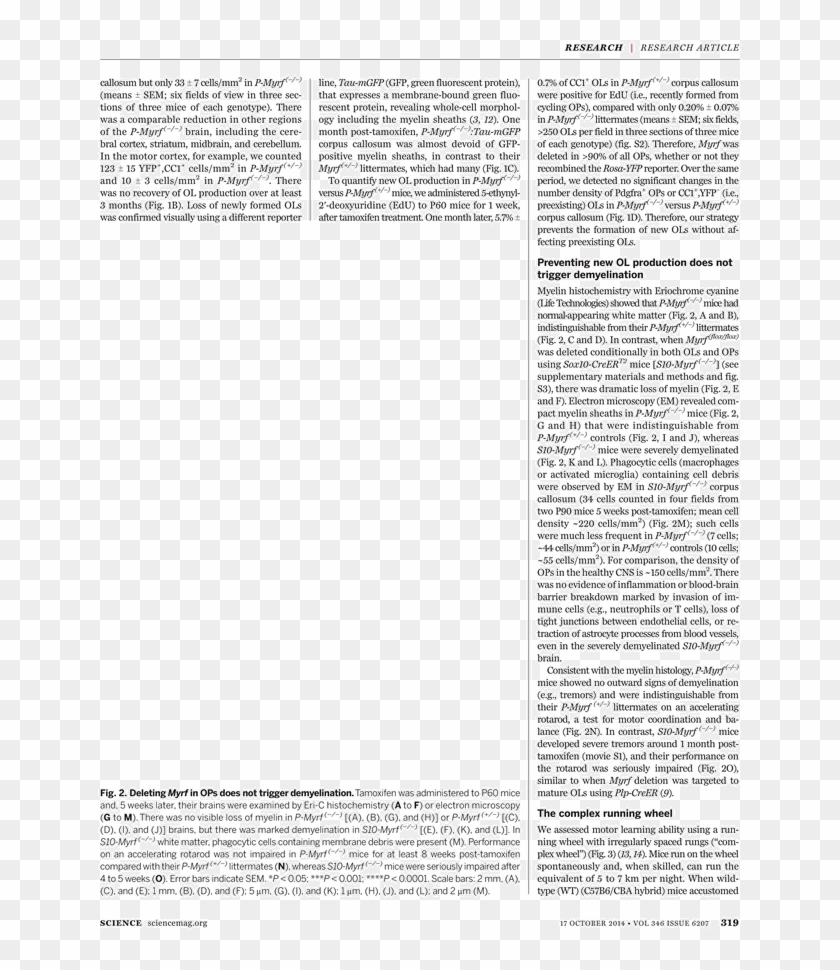 What - Initial L: Saint Luke As The Ox Clipart #1989280