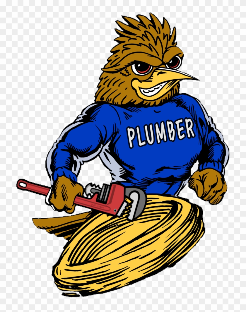 Roadrunner Plumber Plumbing, Drain Cleaning, Video Clipart #1989689