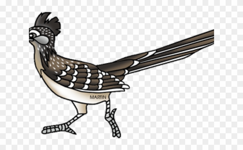 Roadrunner Cliparts - Road Runner Clip Art Free - Png Download