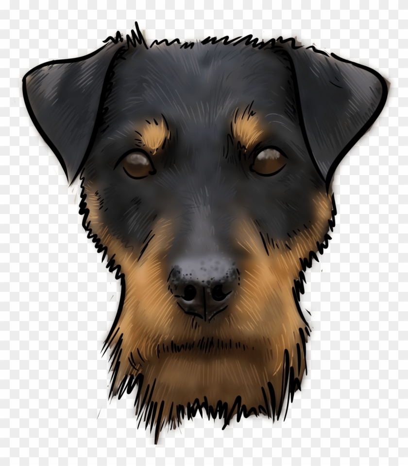 Is A Relatively New Dog In The Dog World - Companion Dog Clipart #1992039