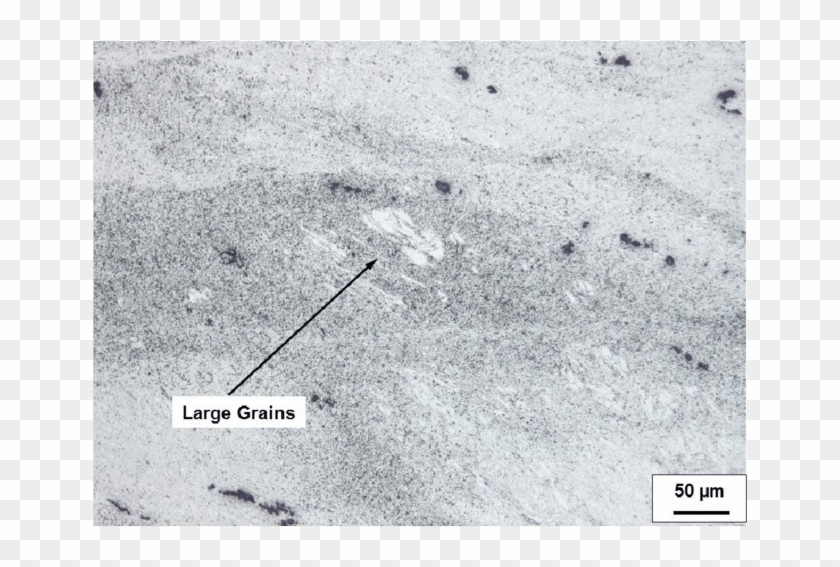 Large White Grain Clusters In A Microsection Of The - Concrete Clipart #1992075