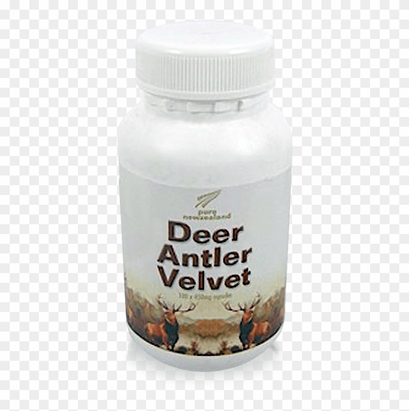 Gila Monster Clipart