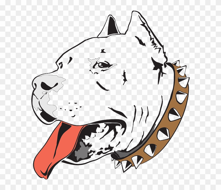 Head Dog Bull Pet Household Animal Pit - Pitbull Logo Clipart #1992388
