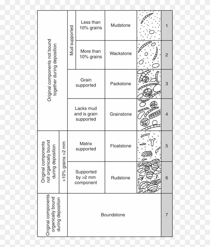 Classification Of Limestone Based On Depositional Texture, Clipart