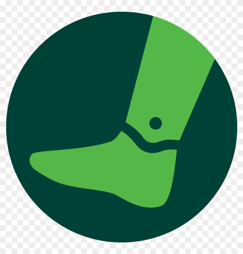 Brancott Flight Pinot Gris 9% Clipart #1993325