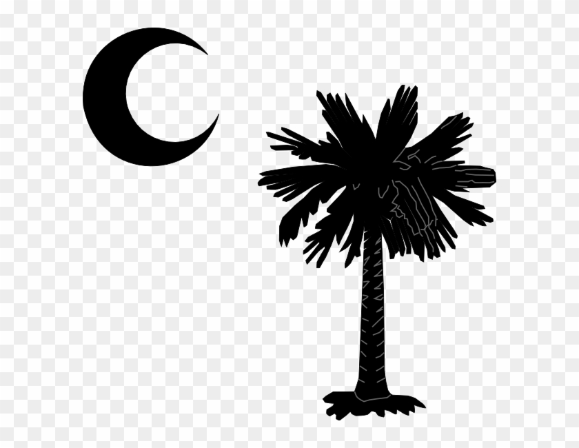 South Carolina Palmetto Tree Clipart #1994894