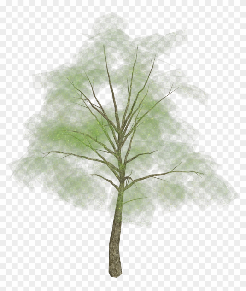 Tree Png Picture - Grass Clipart #1997490