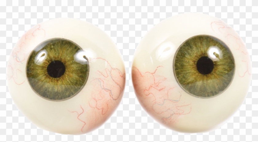 Macro Photography Clipart #1997607