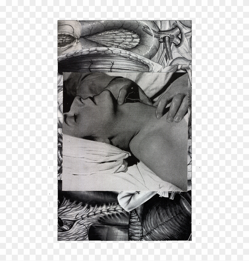 "faintly, She Senses The Knife As It Passes Over The - Visual Arts Clipart