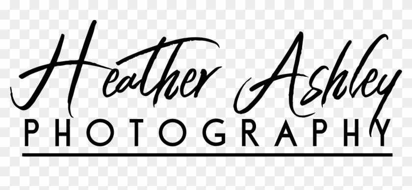 Heather Ashley Photography - Calligraphy Clipart #1999705