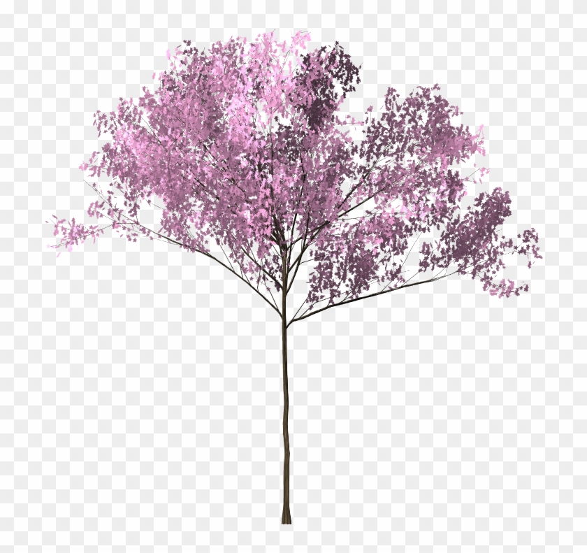 Pohon Sakura Png - Smoke Bunga Background Png Clipart #20001