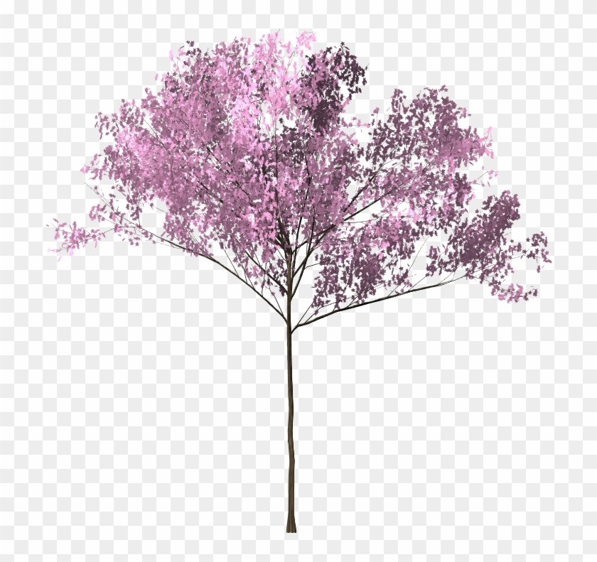 Pohon Sakura Png - Smoke Bunga Background Png Clipart