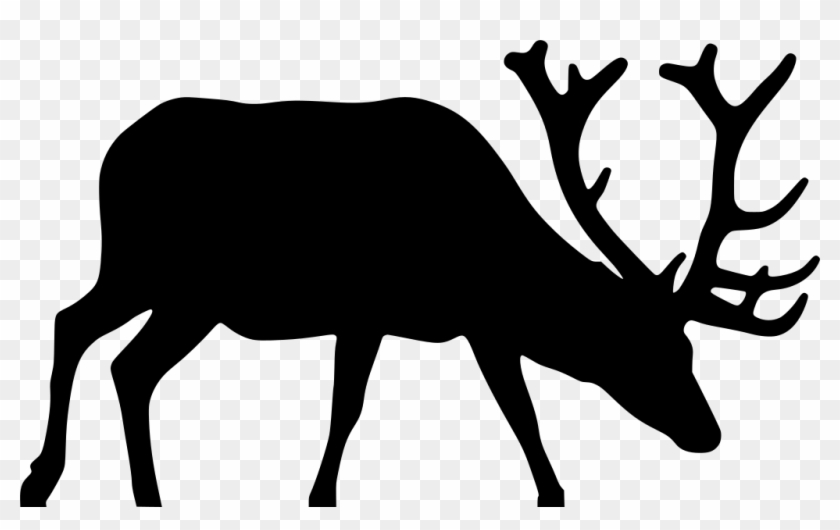 Download Png - Elk Clipart Transparent Png #20092