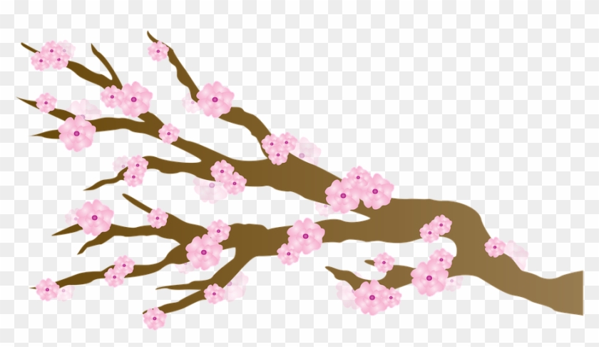 Cherry Blossom Clipart #20159