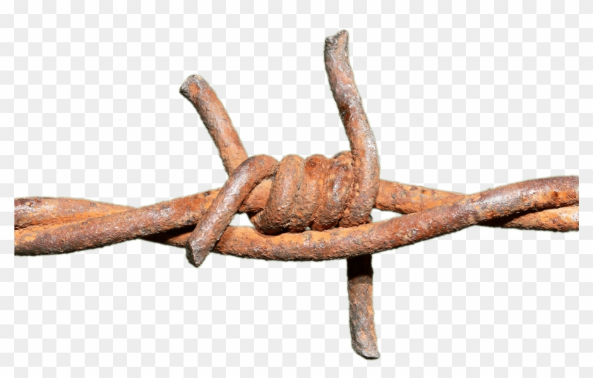 Barbed Wire Rusted Knot - Rusted Barbed Wire Png Clipart #20186