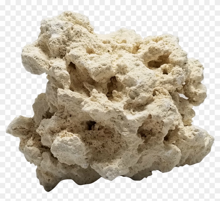 Dry Rock - Live Rock Clipart