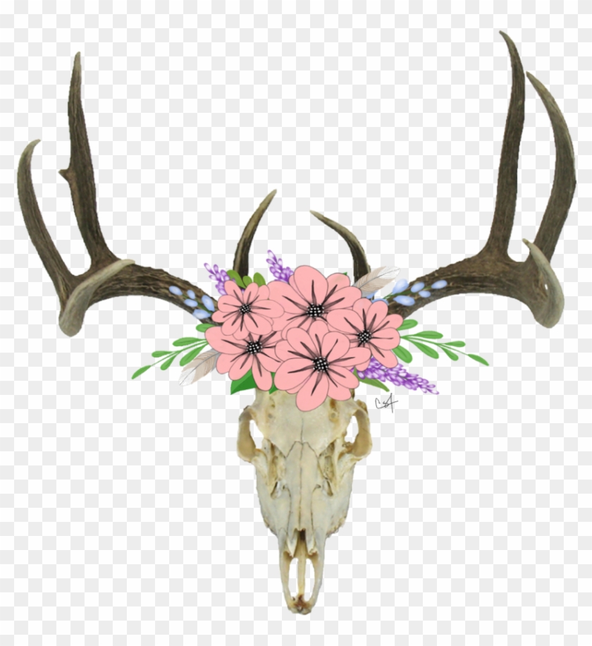 Skull Antlers Flowers Freetoedit Clipart #20323
