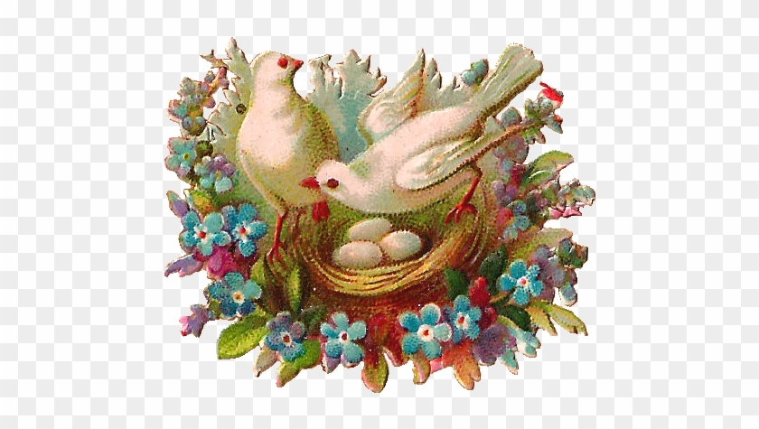 Png Library Download Antique Images Free Bird Clip - Two Doves In A Nest Transparent Png