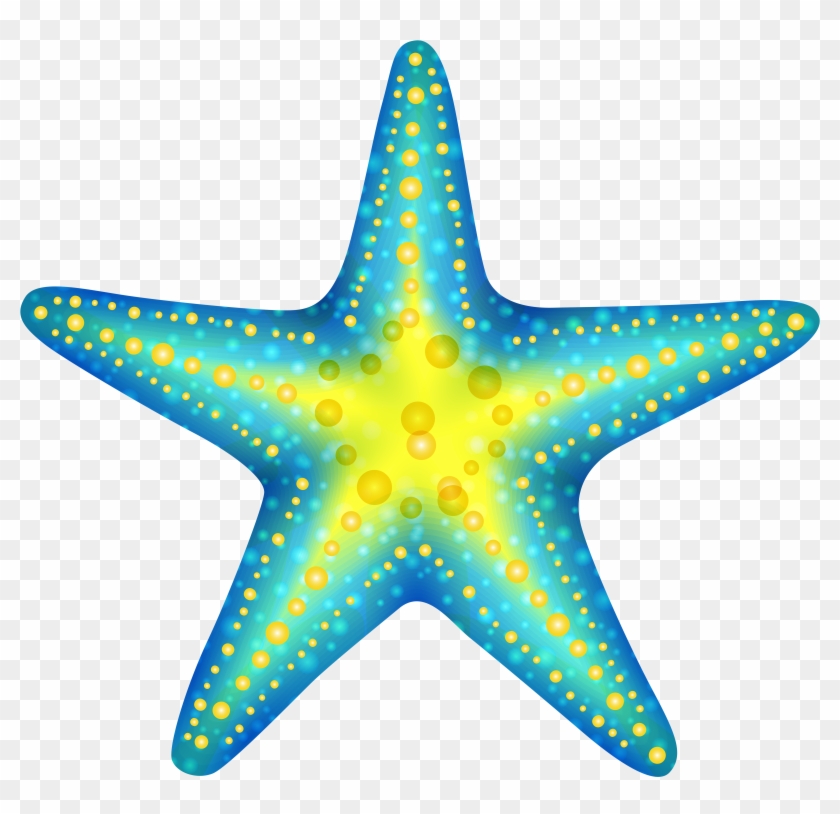 Sea Star Clip Art - Png Download #21362
