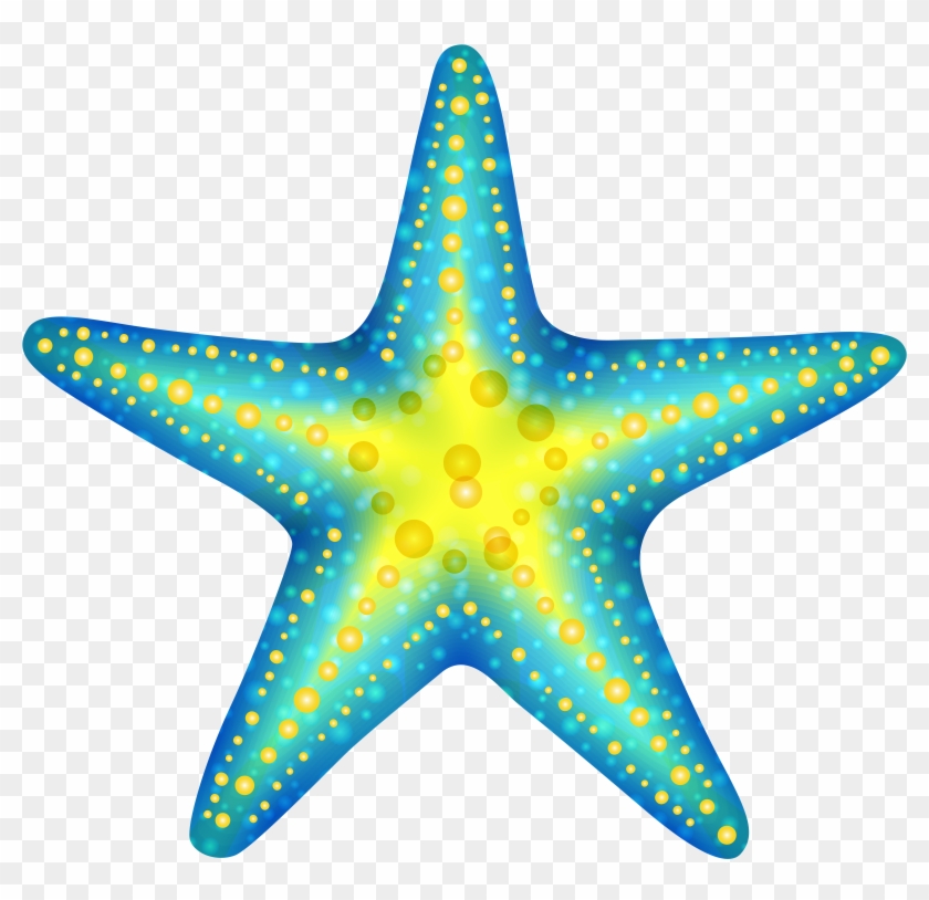 Sea Star Clip Art - Png Download