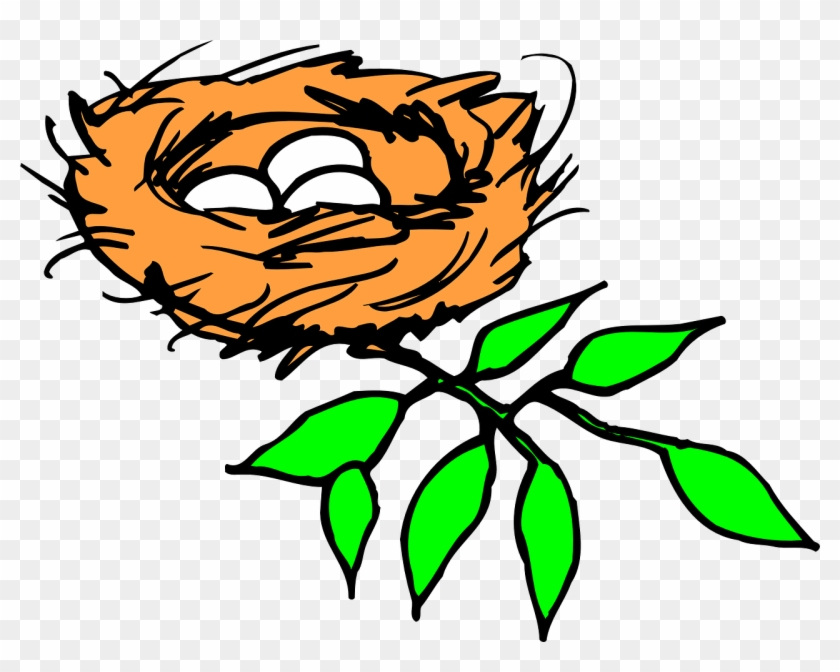 Bird Eggs Branch - Nest Clipart - Png Download