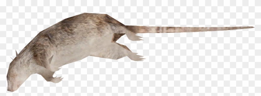 Dead Rat Png - Dead Rat Transparent Background Clipart