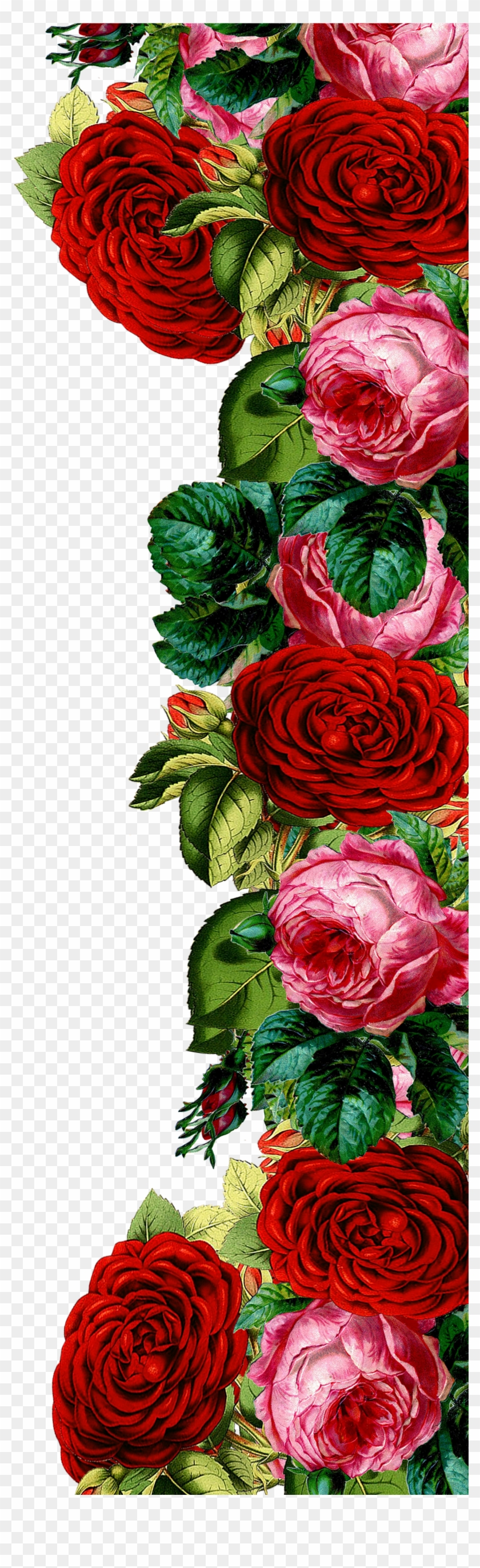 Watercolor Red Vintage Roses Border Png For Free - Vintage Red Roses Border Clipart #21814