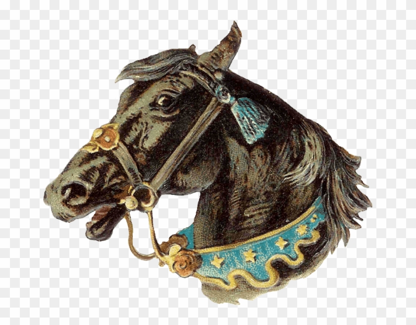 Free Png Download Vintage Horse Head Png Images Background - Clip Art Transparent Png