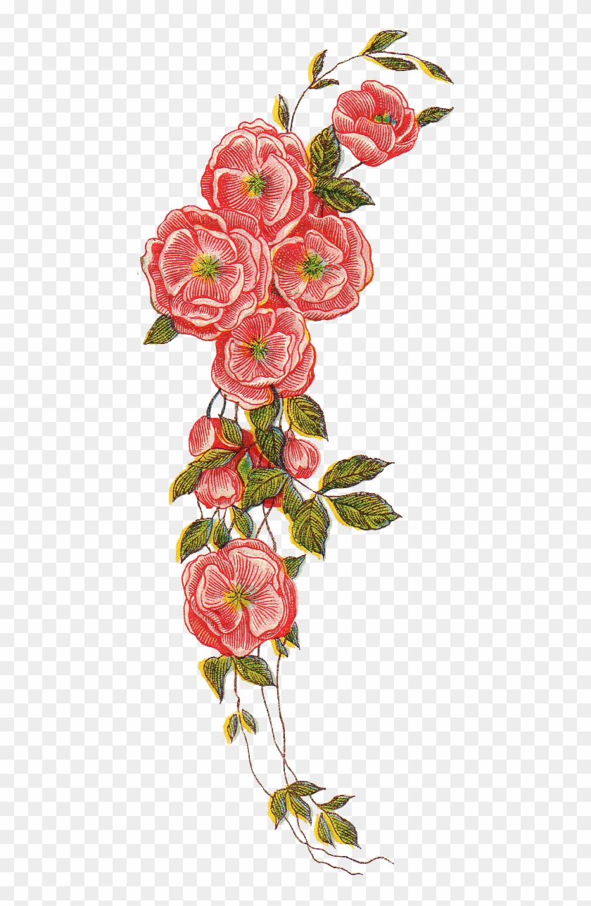 Displaying 16 Gallery Images For Red Rose Border Png - Floral Vintage Design Png Clipart