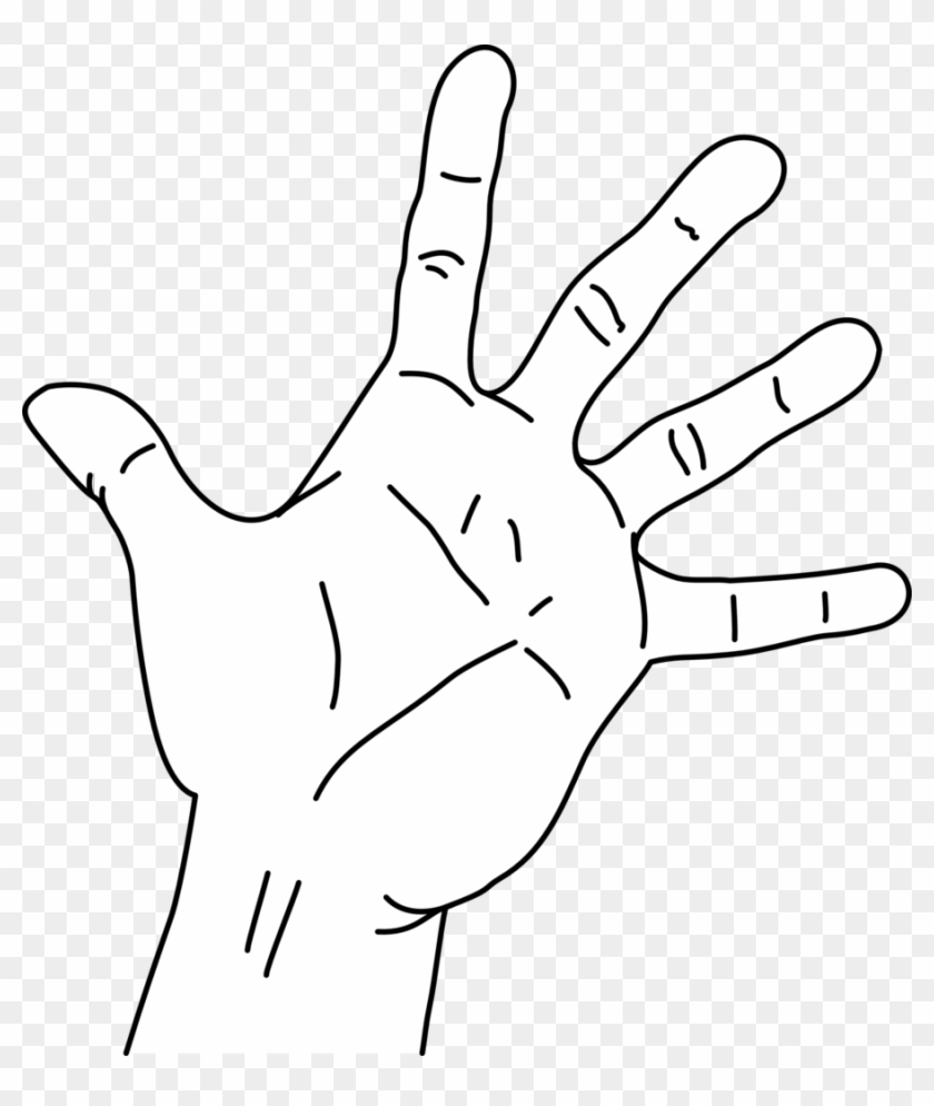 File Measurements Of The Without Png Filemeasurements - Hand Span Sketch Clipart