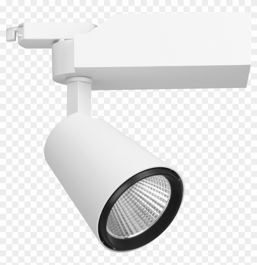 Circle Clipart #24502