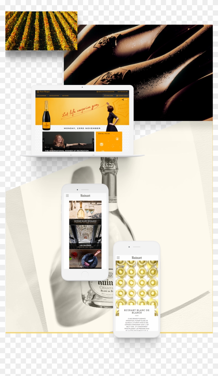 Drupal Support, Cms, Multisite Solutions Case Study - Flyer Clipart