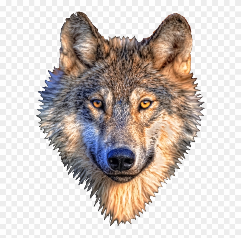 Gray Wolf Animal Head Design Of Wolf - Wolf Head Clipart #24680