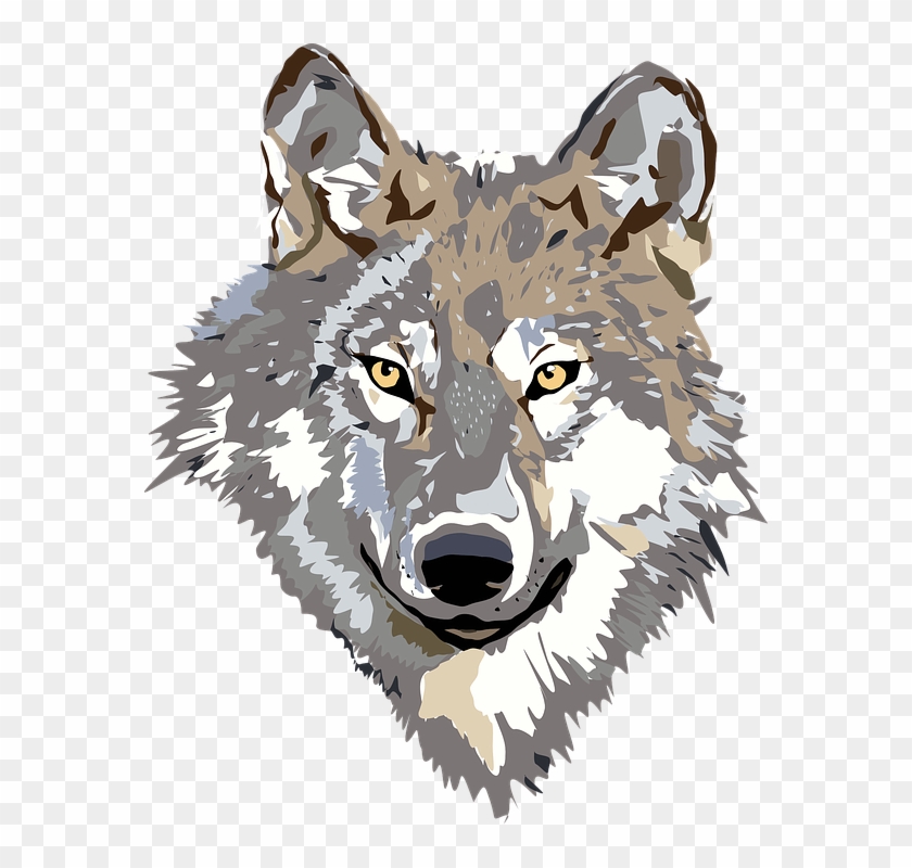 Wolf Face Png - Wolf Face Clipart Transparent Png #24704