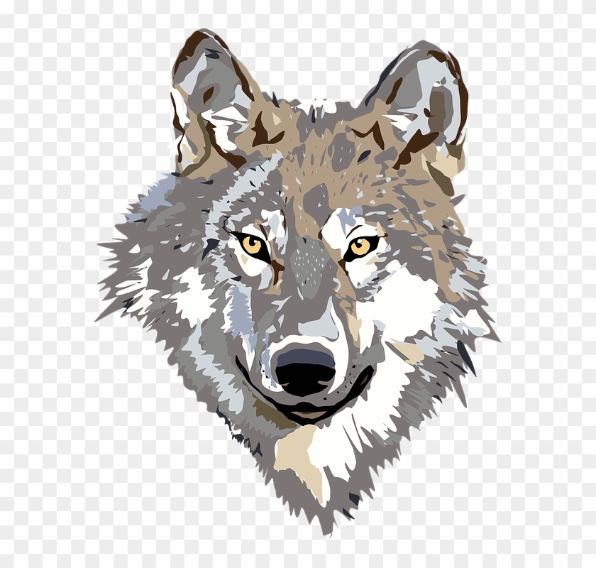 Wolf Face Png - Wolf Face Clipart Transparent Png