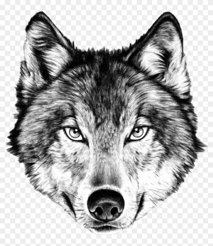 Wolf Sticker - Wolf Head Drawing Clipart