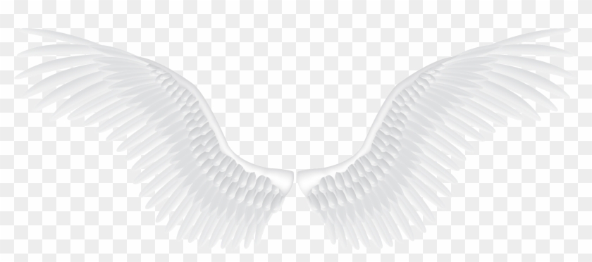 White Angel Wings Png Clipart #26043