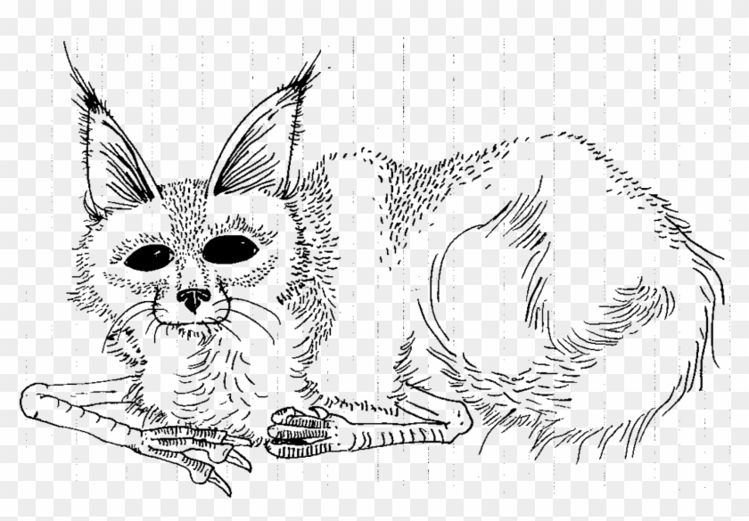 Download Where The Wild Things Are Coloring Pages - Sketch Clipart #26374