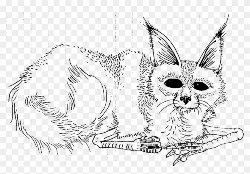 Download Where The Wild Things Are Coloring Pages At Clipart