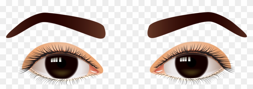 Brown Eyes Images - Human Eye Eyes Clipart - Png Download #26650